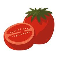 tomate vegetal fresco vector