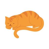 sleeping striped cat animal pet cartoon vector