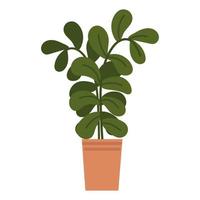 potted plant decoration vector