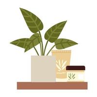 skin care cosmetic organic products and potted plant on shelf vector