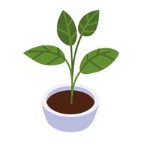 potted plant decoration icon isometric style vector