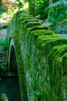 Old stone bridge over stream in Desmond Dene park, Newcastle, UK photo