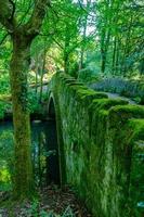 Old stone bridge over stream in Desmond Dene park, Newcastle, UK photo