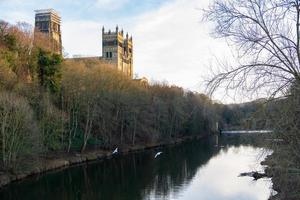 Durham Castle and Cathedral and flying gulls over the River Wear, England, UK photo