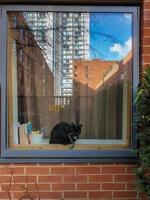 A black cat is sitting inside of a house window
