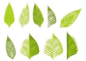 Icon set of leaf. Green abstract hand drawn leaves isolated on a white background. Trendy symbols for vegan product, mobile apps and website design. Vector