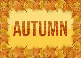 Autumn season vector background