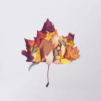 Creative autumn layout made of fallen leaves in shape of a leaf photo