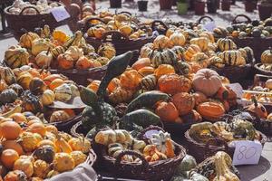 Decorative mini pumpkins and gourds in baskets on green market stand