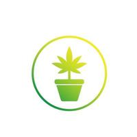 Planta de marihuana en icono de vector de olla en blanco