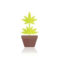 Marijuana plant in pot icon in flat style vector