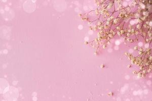 Pink background with small white flowers and bokeh, with copy space photo
