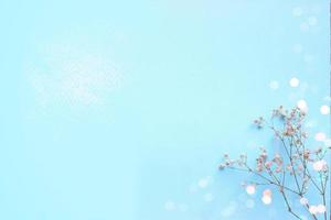 Baby blue background with small white flowers and bokeh, with copy space photo