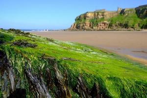 Tynemouth Long Sands en la costa noreste de Inglaterra foto