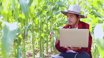 un retrato de un granjero tailandés sosteniendo una computadora portátil en un campo de maíz examinando cultivos, ideas de agronegocios e innovaciones. video