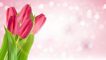 Realistic Natural Pink Tulips Flower Background. Vector Illustration