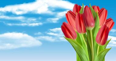 Realistic Natural Tulips Flower Background with sky and cloud. Vector Illustration