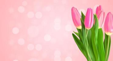 Realistic Natural Pink Tulips Flower Background with Nokeh Light. Vector Illustration