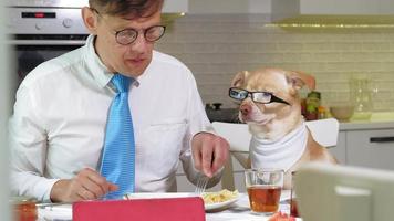 The man with the dog at the table is eating Friendship of man and pet Businessmen concept video