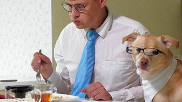 Der Mann mit dem Hund am Tisch isst Freundschaft zwischen Mann und Haustier-Geschäftsmann-Konzept video