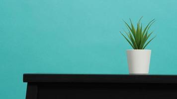 Planta de cactus artificial en el escritorio con fondo verde menta