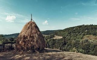 pila de heno en el prado, estilo de vida campestre en el pueblo de montaña. foto