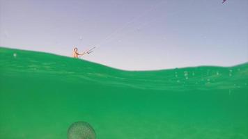 un hombre haciendo kitesurf sobre una medusa. video