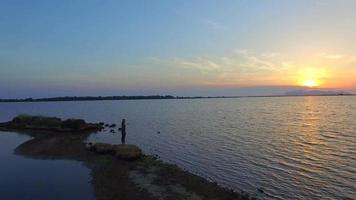 Retrato de drone aéreo de una mujer de pie cerca de un lago al atardecer. video