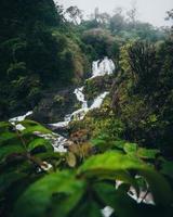 cascada en el camino a hana en maui, hawai foto