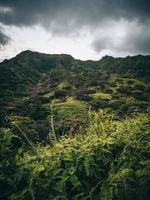 Vista de la naturaleza tropical desde una ruta de senderismo en Oahu, Hawaii foto