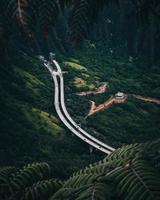 Tropical nature view of the Hana Highway from a hiking trail in Oahu, Hawaii photo