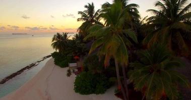 vista aérea de drone de una pintoresca isla tropical en las maldivas al atardecer. video