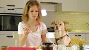 mujer con un perro en la cocina en la mesa desayuno amistad de hombre y mascota