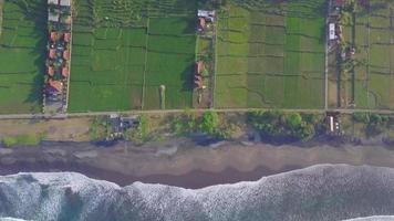 Aerial drone view of the green farming fields, beach and sea in Indonesia.
