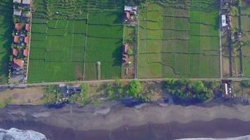 vista aerea del drone dei campi agricoli verdi, della spiaggia e del mare in indonesia.