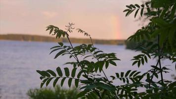 vista panoramica di un paesaggio lacustre e un arcobaleno. video