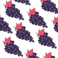 fondo de patrón de frutas frescas de uvas vector