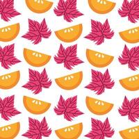 oranges fruits and leafs pattern background vector