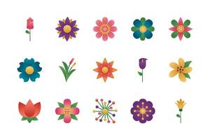 bundle of flowers degradient style icons vector