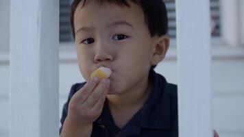 Portrait of boy eating snack photo