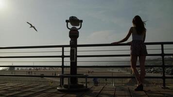 Portrait of young woman on beach vacation photo