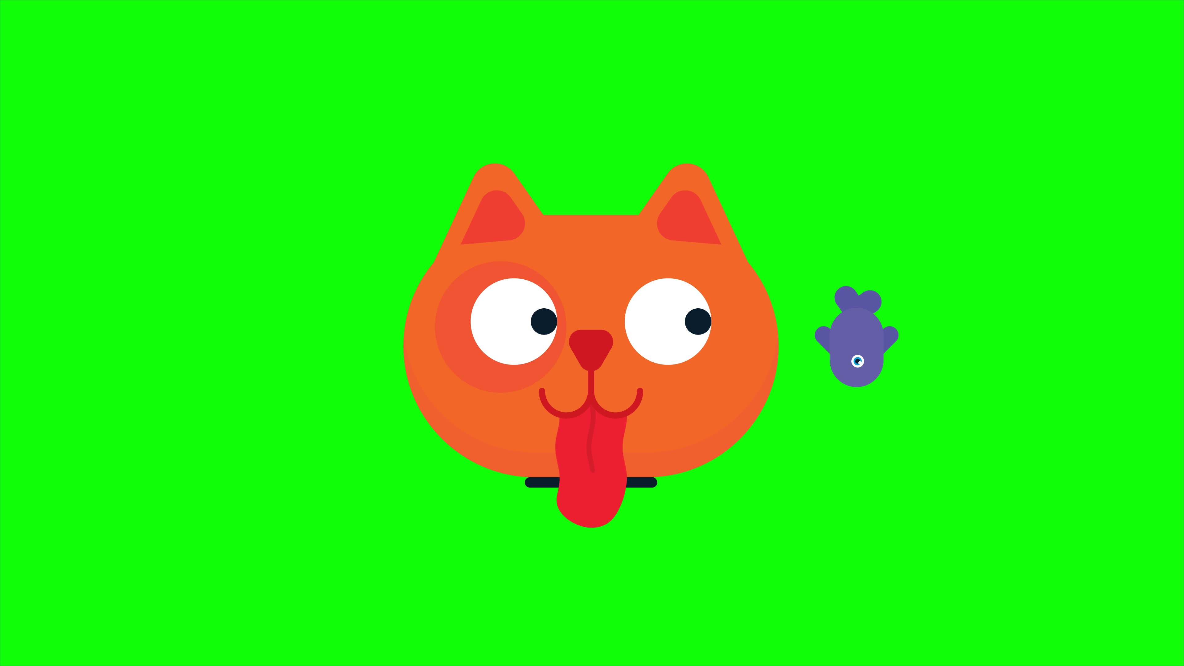 Green bakrund cat dance｜TikTok Search