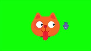 animación de icono de carga de cara de gato. gato hambriento mira pez en movimiento. animación de dibujos animados con fondo de pantalla verde. video