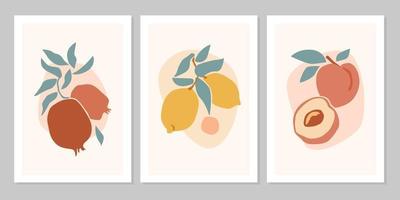 Hand drawn set abstract boho poster with tropical  fruit lemon, pomegranate, peach isolated on beige background. Vector flat illustration. Design for pattern, logo, posters, invitation, greeting card