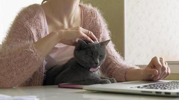 mujer atractiva con gatito usando laptop