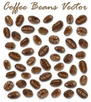 Set of roasted coffee beans elements vector and shadow on white background.