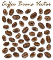 Set of roasted coffee beans elements vector and shadow on white background.