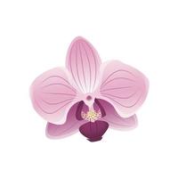 Cute pink orchid flower icon. Delicate cherry blossom petals, spring motives. Front view. Festive decorations for wedding, holiday, postcard, poster vector