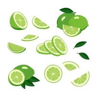 Lime icons set. Bright whole fruit, half, slices with leaves. Food for a healthy diet, dessert and lemonade. Elements for spring and summer design vector