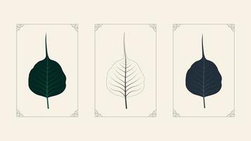 decorative beautiful cute leaf illustration. set of leaves with creative frames vector